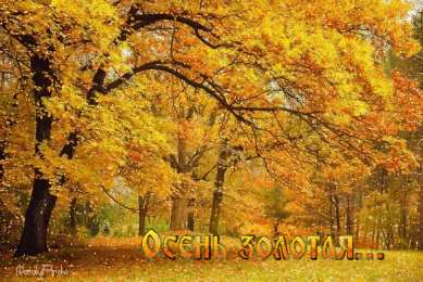 Открытки Золотая Осень  Чудесные открытки на тему Золотая Осень скачать бесплатно gif.