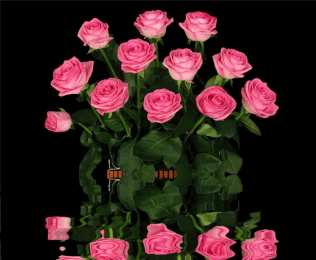 Открытки с цветами Красивые анимационные открытки с цветами на любой вкус бесплатно.