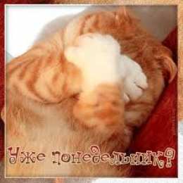 Открытки на понедельник Открытки с пожеланиями легкого понедельника скачать бесплатно.