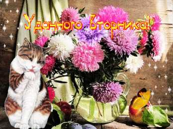 Открытки на вторник Позитивные открытки на вторник. Картинки про вторник скачать бесплатно.