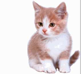 Открытки все будет хорошо Веселые открытки с пожеланиями все будет хорошо скачать бесплатно.