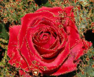 Открытки с цветами Открытки с цветами на день рождения. Картинки с букетом цветов. 