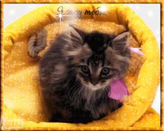 Открытки жду тебя Открытки я жду тебя gif. Открытки возвращайся скорее скачать бесплатно.