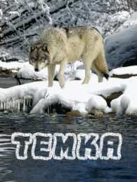 Открытки Открытки с именем Артём Поздравительные открытки с именами. Открытки с именем Артём gif.  Открытки с сердечками с именем Арнтём. Поздравления с праздником для Артема скачать бесплатно. Мерцающие картинки с именем Темыч. Поздравительные открытки на имя Артем. Открытки с днем ангела Артем.