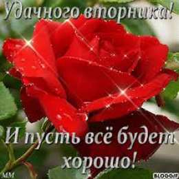 Открытки Открытки на вторник Позитивные открытки на вторник. Картинки про вторник скачать бесплатно. Прикольные открытки на вторник. Красивые открытки на вторник. Картинки на вторник скачать бесплатно гиф. Открытки с пожеланиями на вторник. Отличного утра вторник открытки.