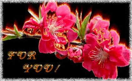 Открытки с цветами Красивые анимационные открытки с цветами на любой вкус бесплатно.