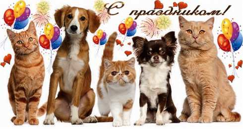 Открытки на Всемирный день домашних животных Добрые открытки на Всемирный день домашних животных скачать бесплатно.