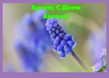 Открытки Открытки с именем Артём Поздравительные открытки с именами. Открытки с именем Артём gif.  Открытки с именем Артем скачать бесплатно. Открытки с надписью Артем я тебя люблю. Скачать бесплатно открытки с именем Артем с пожеланиями. Поздравительные открытки на имя Тёма.