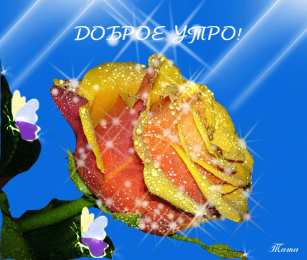 Открытки с добрым утром Открытка с пожеланиями доброго утра на каждый день скачать бесплатно 