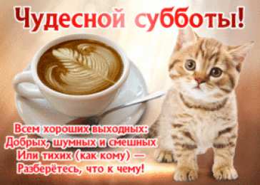 Открытки на субботу Интересные открытки на субботу. Веселые открытки на выходные.