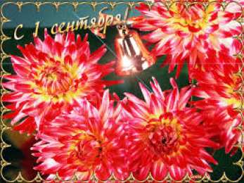 Открытки Открытки на 1 сентября Открытки с поздравлениями на день знаний скачать бесплатно.  Открытки с поздравлениями на день знаний. Поздравление в стихах с началом учебного года. Открытки с поздравлениями на день знаний gif. Красивые пожелания на 1 сентября. Поздравительные открытки на 1 сентября скачать бесплатно.