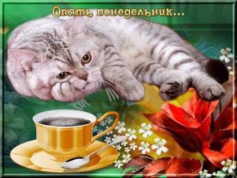Открытки на понедельник Открытки с пожеланиями легкого понедельника скачать бесплатно.
