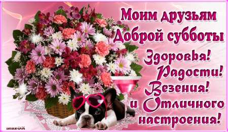 Открытки на субботу Интересные открытки на субботу. Веселые открытки на выходные.