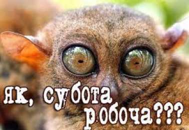 Открытки на субботу Интересные открытки на субботу. Веселые открытки на выходные.