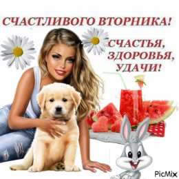 Открытки Открытки на вторник Позитивные открытки на вторник. Картинки про вторник скачать бесплатно. Замечательные пожелания на вторник друзьям. Позитивные открытки на вторник. Открытки желаю удачного вторника. Анимационные картинки про вторник. Картинки про вторник скачать бесплатно.