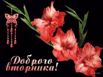 Открытки Открытки на вторник Позитивные открытки на вторник. Картинки про вторник скачать бесплатно. Открытки с надписью самого лучшего вторника. Желаю отличного вторника открытки. Пожелания на вторник скачать бесплатно. Анимационные картинки легкого рабочего вторника.