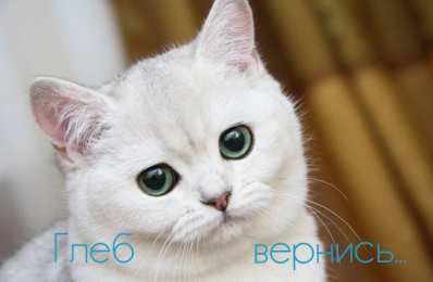 Открытки с именем Глеб Анимационные открытки с именем Глеб. Открытки с днём рождения Глеб.