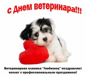 Открытки с днем ветеринара Поздравительные открытки с днем ветеринара скачать бесплатно.