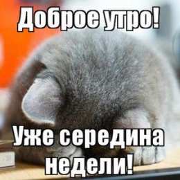 Открытки на среду Открытки с пожеланиями отличной среды. Красивые открытки на среду.