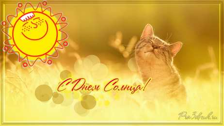 Открытки с днем солнца Открытки с днем солнца скачать бесплатно. Поздравление с днем солнца.