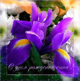 Открытки с Днем Рождения сыну Поздравительные открытки для любимого сына с днем рождения. 