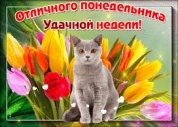 Открытки на понедельник Открытки с пожеланиями легкого понедельника скачать бесплатно.
