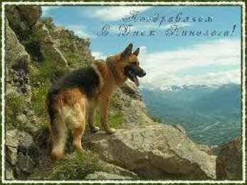 Открытки с днем кинолога Открытки с пожеланиями на день кинолога скачать бесплатно.    