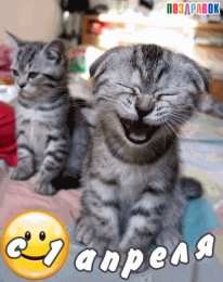 Открытки с 1 апреля Открытки с 1 апреля скачать бесплатно. С 1 апреля анимационные открытки. 