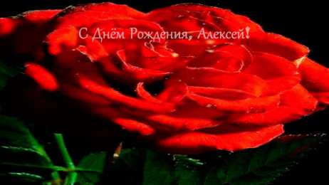 Открытки с именем Алексей Открытки с именем Алексей скачать бесплатно. Открытки с именем Леша.