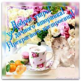 Открытки на вторник Позитивные открытки на вторник. Картинки про вторник скачать бесплатно.