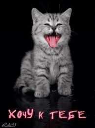 Открытки хочу к тебе Анимационные открытки хочу к тебе. Мерцающие картинки хочу к тебе.