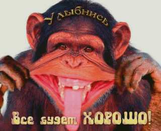 Открытки все будет хорошо Веселые открытки с пожеланиями все будет хорошо скачать бесплатно.