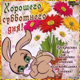 Открытки на субботу Интересные открытки на субботу. Веселые открытки на выходные.