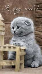 Открытки жду тебя Открытки я жду тебя gif. Открытки возвращайся скорее скачать бесплатно.