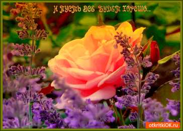 Открытки все будет хорошо Веселые открытки с пожеланиями все будет хорошо скачать бесплатно.