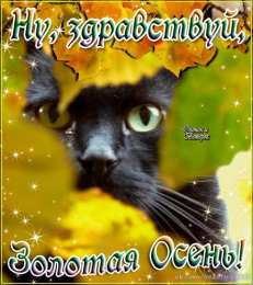 Открытки Золотая Осень  Чудесные открытки на тему Золотая Осень скачать бесплатно gif.