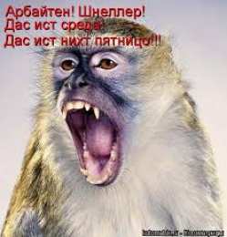 Открытки на среду Открытки с пожеланиями отличной среды. Красивые открытки на среду.