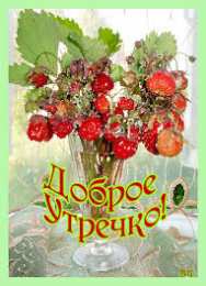 Открытки Открытки с добрым утром Открытка с пожеланиями доброго утра на каждый день скачать бесплатно  Открытки доброе утро скачать бесплатно. Анимационные картинки с пожеланиями удачного утра. Хорошего начала дня открытки gif. Открытки для вотсапа с добрым утром. Открытка с пожеланиями доброго утра на каждый день.