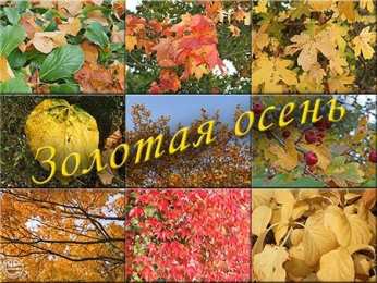 Открытки Золотая Осень  Чудесные открытки на тему Золотая Осень скачать бесплатно gif.