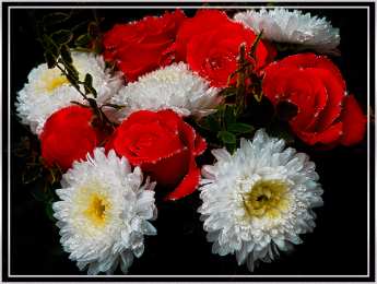 Открытки с цветами Открытки с цветами на день рождения. Картинки с букетом цветов. 