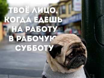 Открытки на субботу Интересные открытки на субботу. Веселые открытки на выходные.