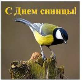 Открытки на Синичкин день Красивые анимационные открытки на Синичкин день скачать бесплатно.