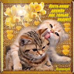 Открытки с днем друзей Веселые поздравительные открытки с днем друзей скачать бесплатно.