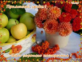 Открытки на среду Открытки с пожеланиями отличной среды. Красивые открытки на среду.