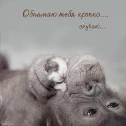 Открытки обнимаю Открытки хочу тебя обнять. Открытки крепко обнимаю скачать бесплатно.