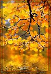 Открытки Золотая Осень  Чудесные открытки на тему Золотая Осень скачать бесплатно gif.