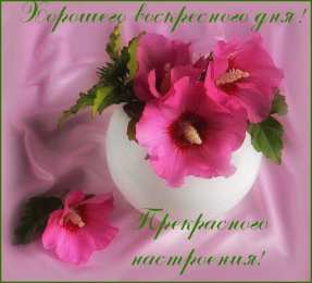 Открытки на воскресенье Мерцающие открытки про воскресенье. Открытки на воскресное утро.