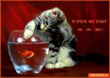 Открытки все будет хорошо Веселые открытки с пожеланиями все будет хорошо скачать бесплатно.