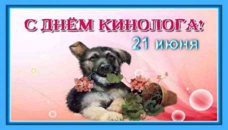 Открытки с днем кинолога Открытки с пожеланиями на день кинолога скачать бесплатно.    