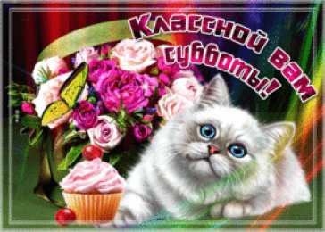 Открытки на субботу Интересные открытки на субботу. Веселые открытки на выходные.